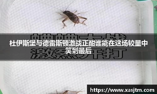 中欧体育